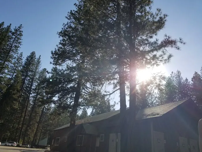 Hume Lake Campground Picture 7