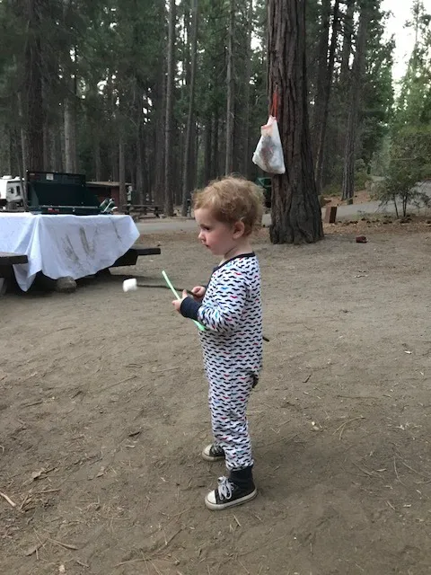 Hume Lake Campground Picture 10