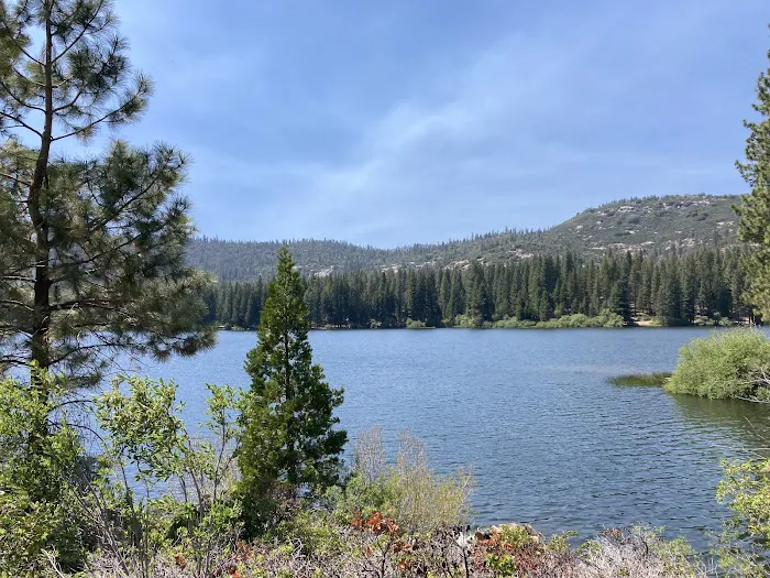 Hume lake campground Picture 1