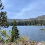 Hume lake campground