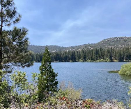 Hume lake campground