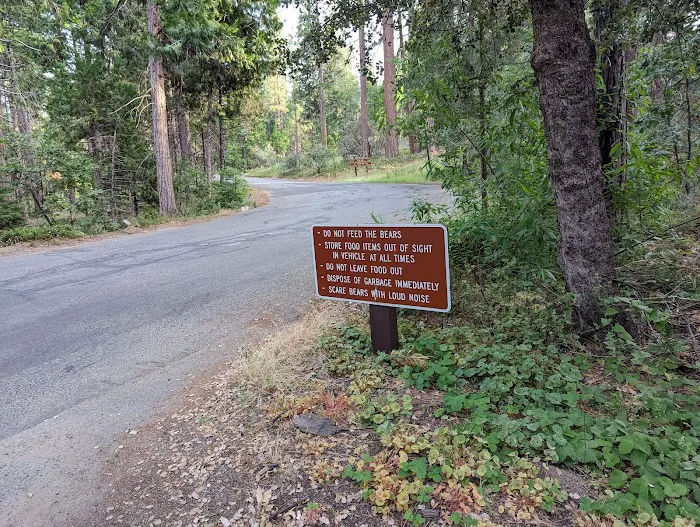 Hume lake campground Picture 3
