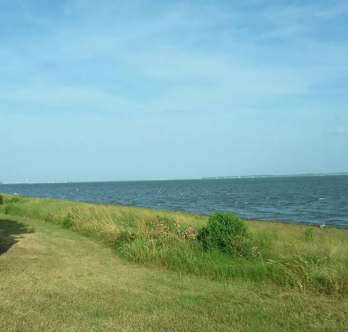 White House Beach Inc. Picture 6