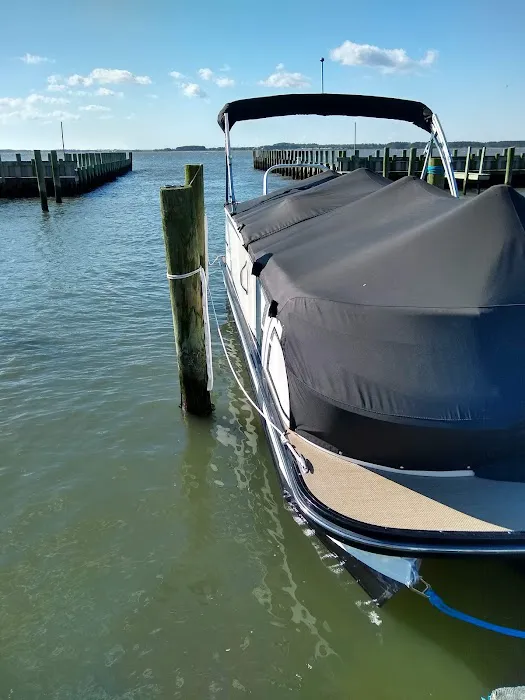 White House Beach Inc. Picture 3