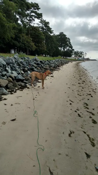 White House Beach Inc. Picture 4