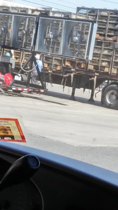 Tingle Acres Mobile Home Park Picture 2