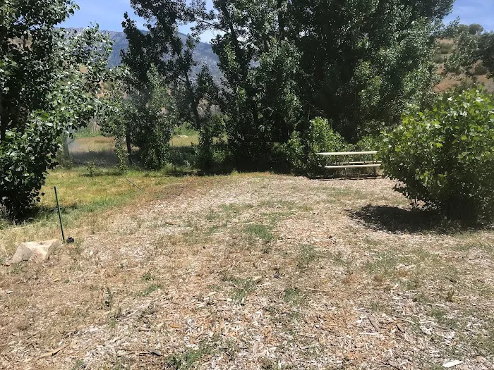 Kings Canyon Rv Resort & Campground Picture 8
