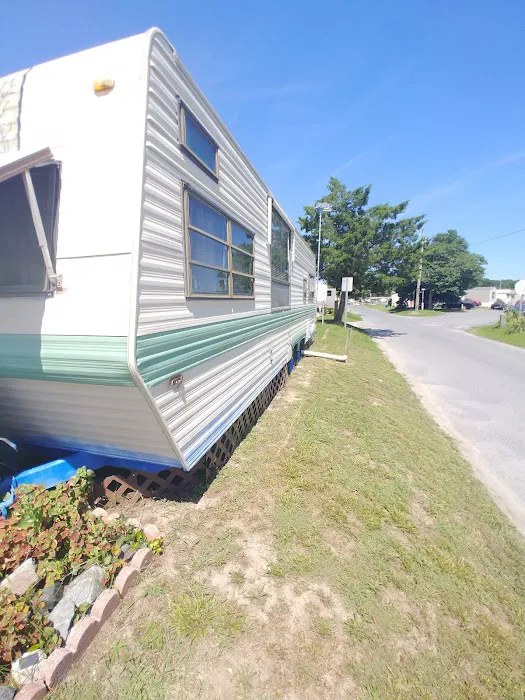 Bayshore Inc Camp Site & Park Picture 2