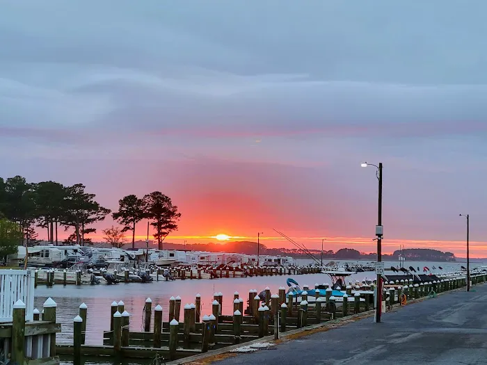 Bayshore Inc Camp Site & Park Picture 4