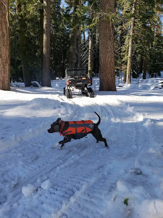 Big Meadow Winter Trailhead (recgovnpsdata) Picture 10