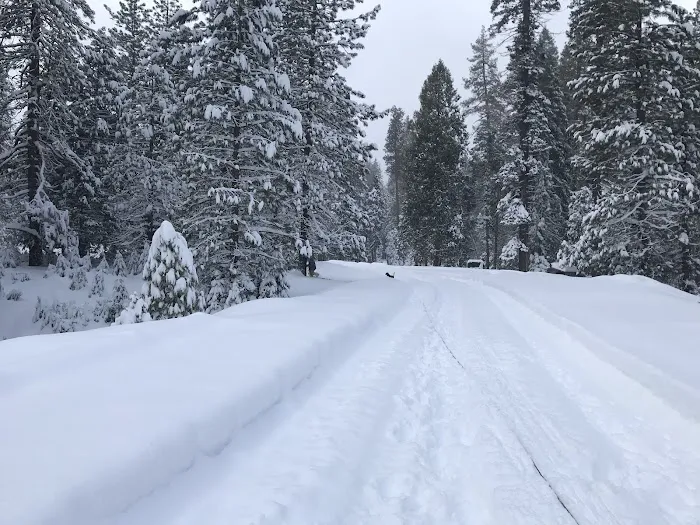 Tenmile Campground Picture 3