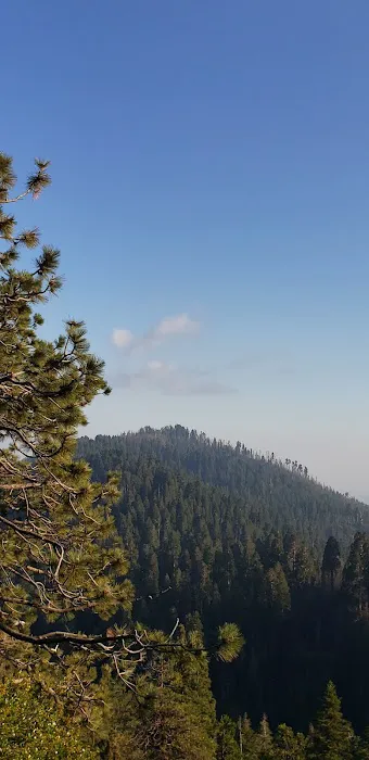 Tenmile Campground Picture 1