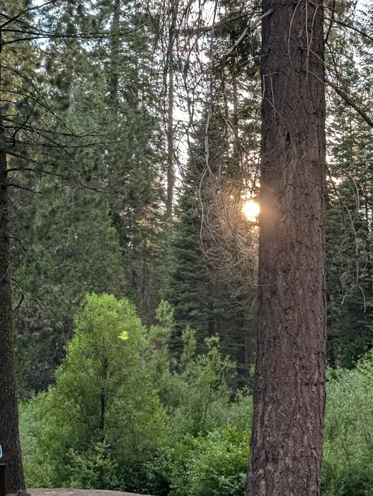 Tenmile Campground Picture 9