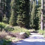 Fir Group Campground