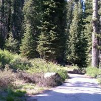 Fir Group Campground ico