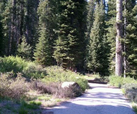 Fir Group Campground