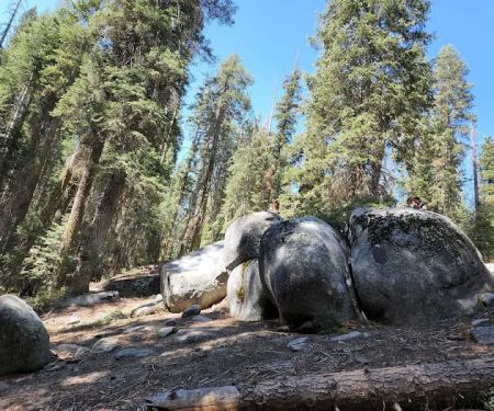 Cove Group Campground