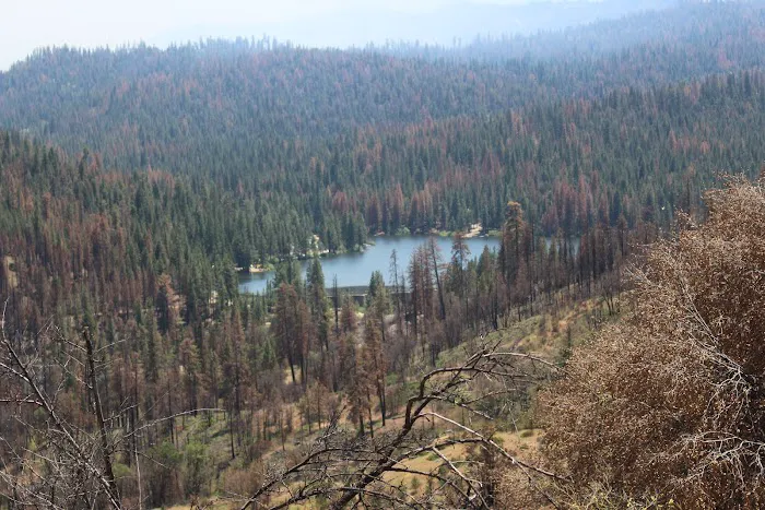 Cove Group Campground Picture 4