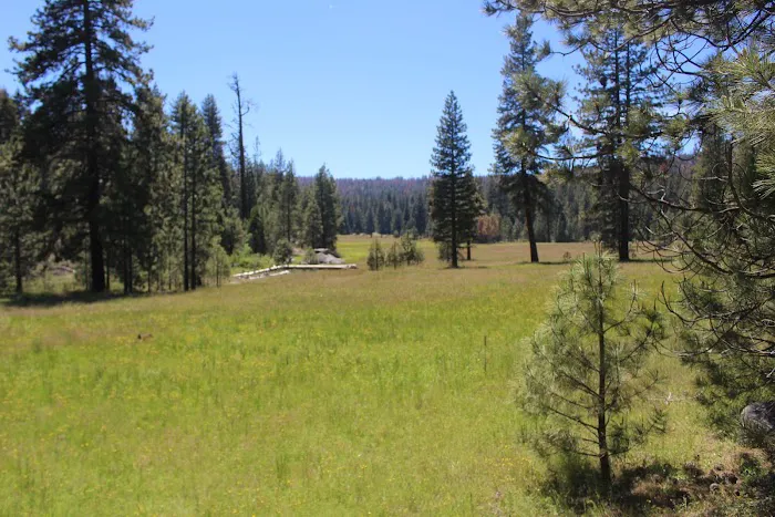 Cove Group Campground Picture 5