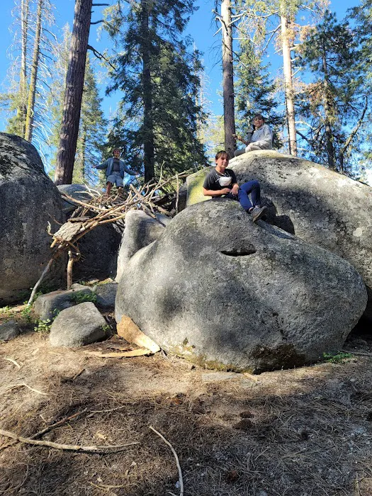 Cove Group Campground Picture 10