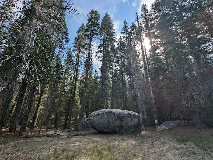 Stony Creek Campground Picture 4