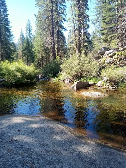 Stony Creek Campground Picture 2