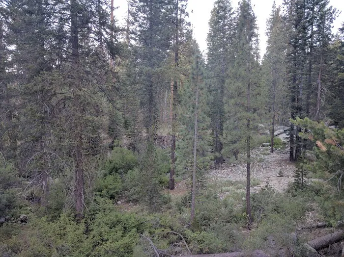 Stony Creek Campground Picture 6