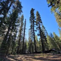 Stony Creek Campground ico