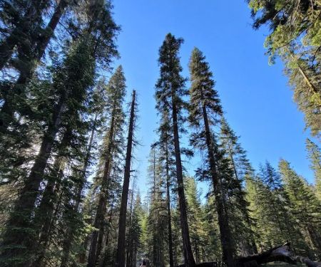 Stony Creek Campground