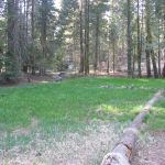 Aspen Hollow Group Campground