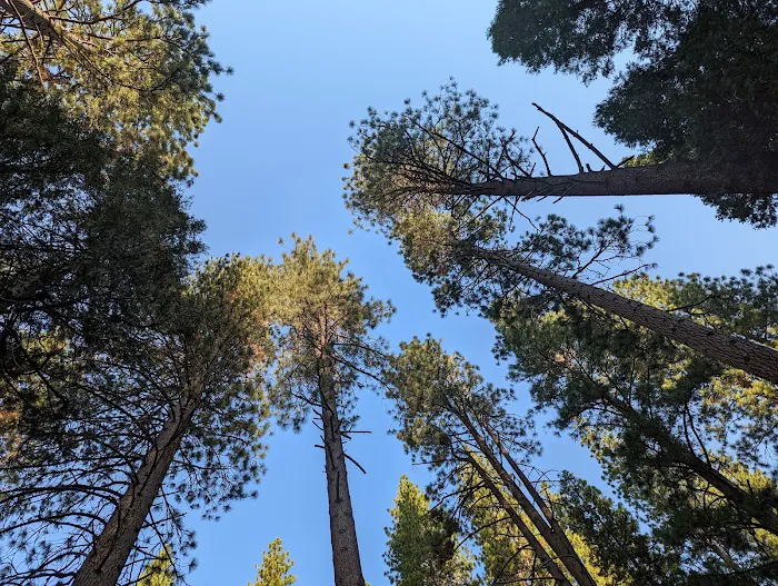 Logger Flat Group Campground Picture 4
