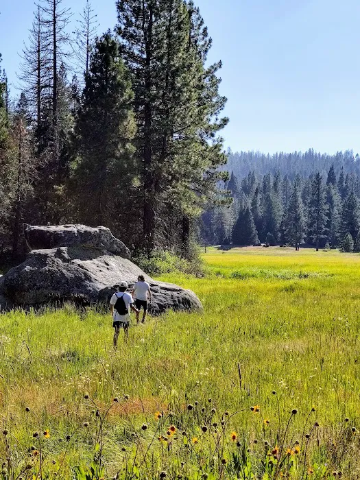Logger Flat Group Campground Picture 3