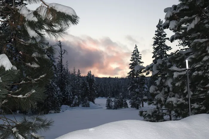 Logger Flat Group Campground Picture 6
