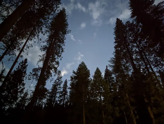 Logger Flat Group Campground Picture 5