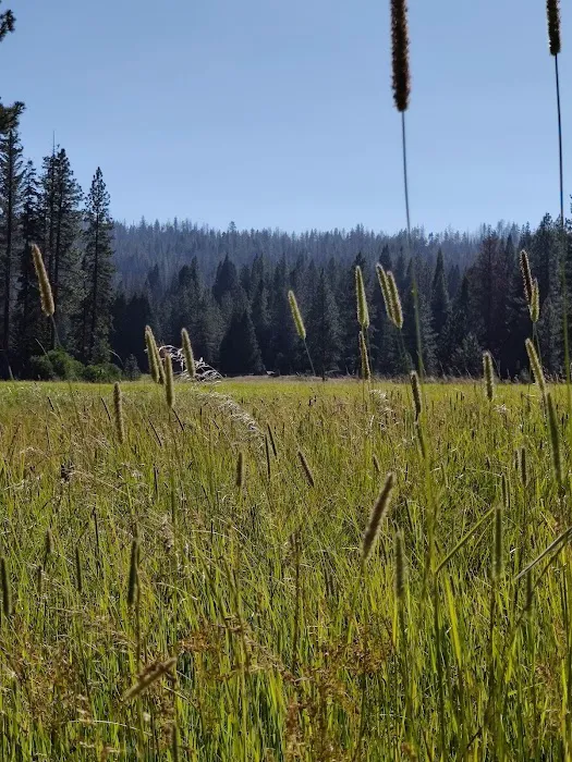 Logger Flat Group Campground Picture 10