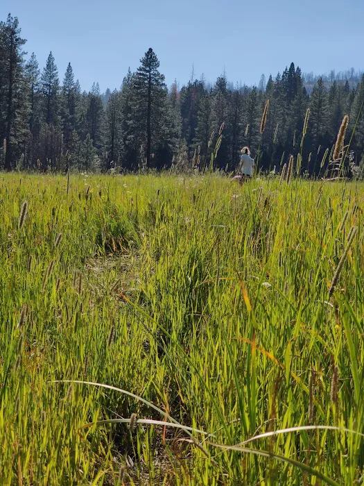 Logger Flat Group Campground Picture 8