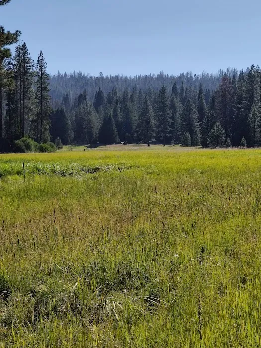 Logger Flat Group Campground Picture 7