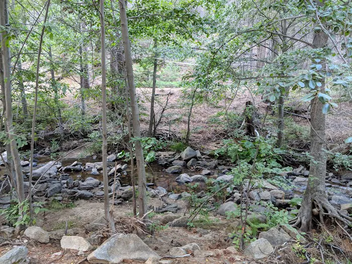 Logger Flat Group Campground Picture 9