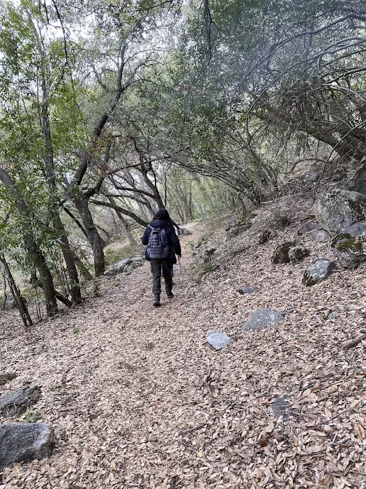 South Fork Campground Picture 6