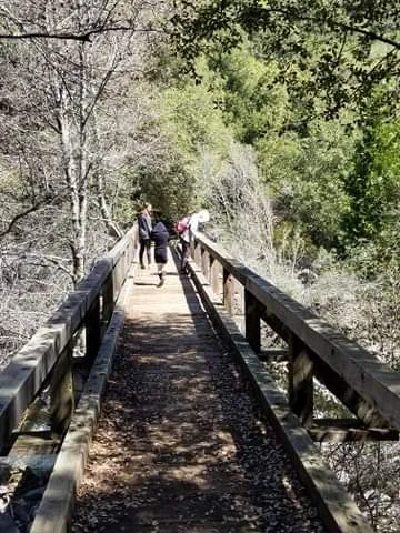 South Fork Campground Picture 1