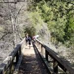 South Fork Campground