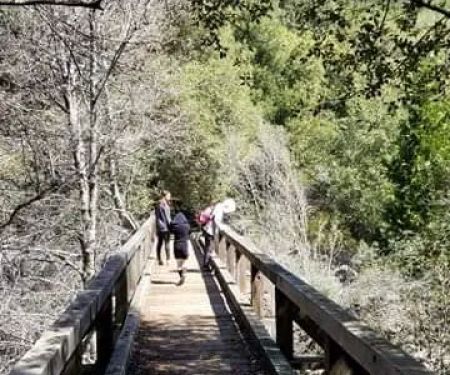 South Fork Campground