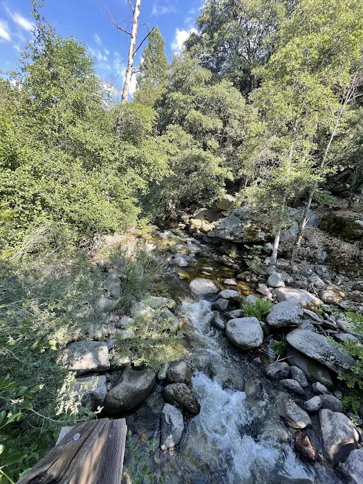 South Fork Campground Picture 3