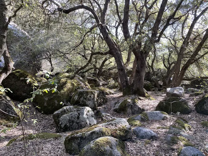 South Fork Campground Picture 9