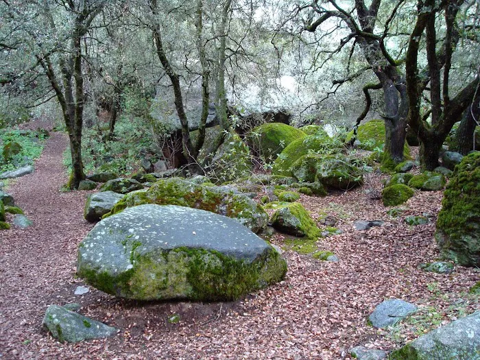 South Fork Campground Picture 10