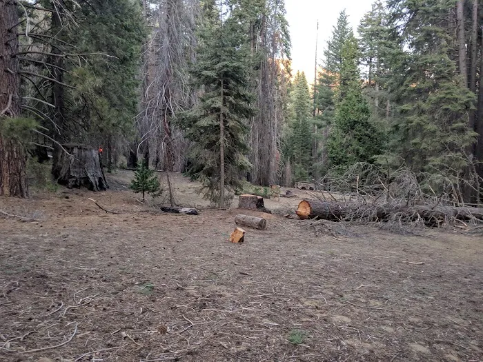 Atwell Mill Campground Picture 4
