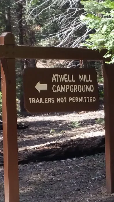 Atwell Mill Campground Picture 10