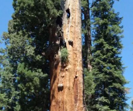 Fraiser mills camp ground