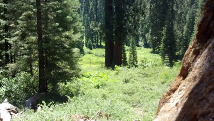 Fraiser mills camp ground Picture 8