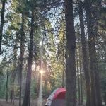 Shake Camp Campground